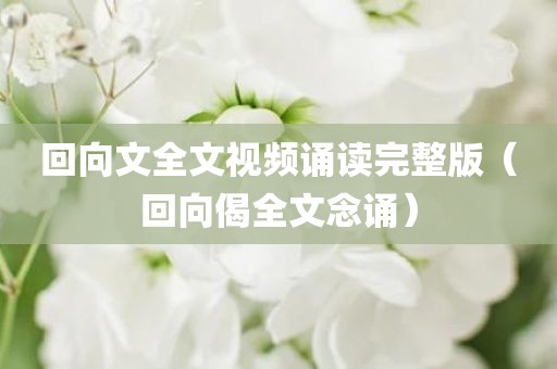 回向文全文视频诵读完整版（回向偈全文念诵）