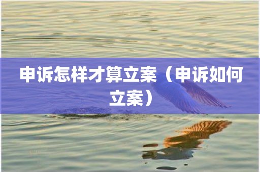 申诉怎样才算立案（申诉如何立案）