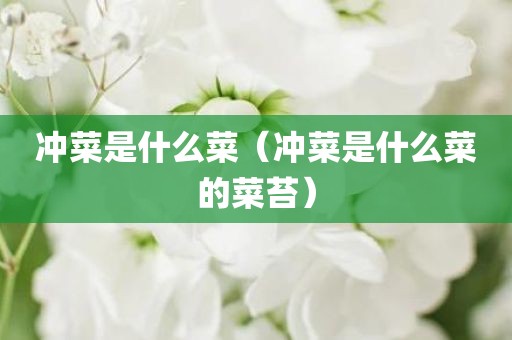 冲菜是什么菜(冲菜是什么菜的菜苔)