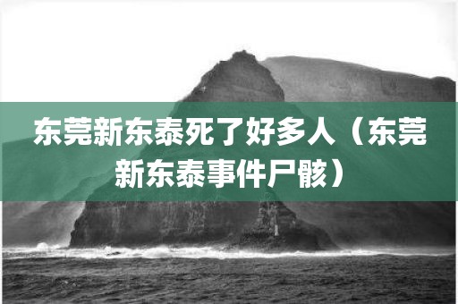 东莞新东泰死了好多人（东莞新东泰事件尸骸）