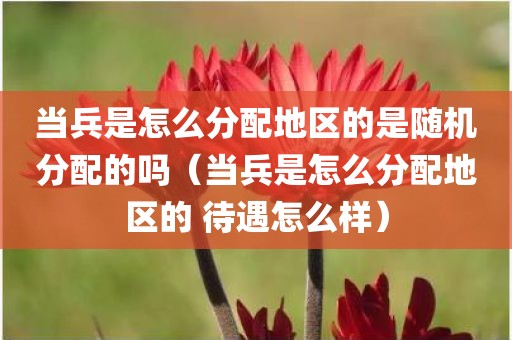 当兵是怎么分配地区的是随机分配的吗（当兵是怎么分配地区的 待遇怎么样）