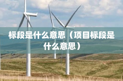 标段是什么意思（项目标段是什么意思）