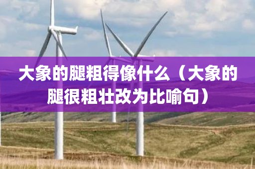 大象的腿粗得像什么（大象的腿很粗壮改为比喻句）
