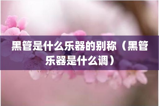 黑管是什么乐器的别称（黑管乐器是什么调）