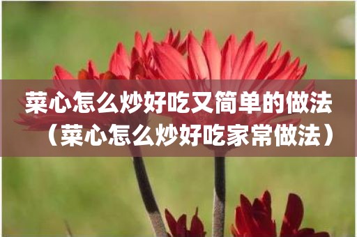 菜心怎么炒好吃又简单的做法（菜心怎么炒好吃家常做法）