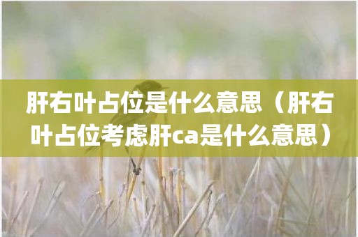 肝右叶占位是什么意思（肝右叶占位考虑肝ca是什么意思）