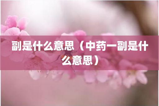 副是什么意思（中药一副是什么意思）