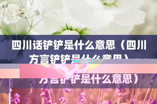 四川话铲铲是什么意思（四川方言铲铲是什么意思）