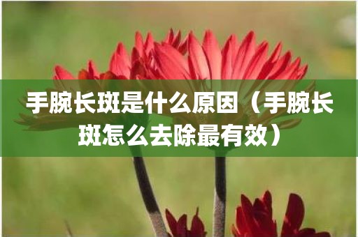 手腕长斑是什么原因（手腕长斑怎么去除最有效）