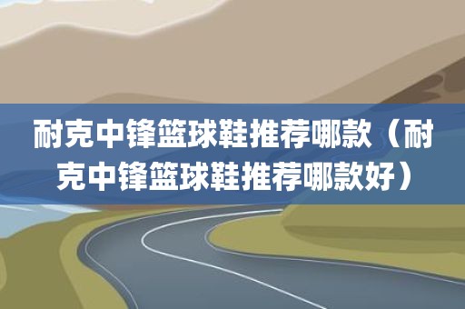 耐克中锋篮球鞋推荐哪款（耐克中锋篮球鞋推荐哪款好）