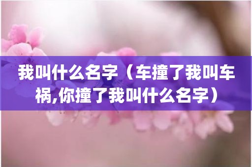 我叫什么名字（车撞了我叫车祸,你撞了我叫什么名字）
