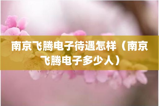 南京飞腾电子待遇怎样（南京飞腾电子多少人）