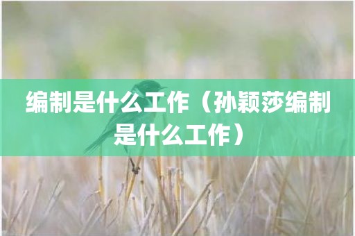 编制是什么工作(孙颖莎编制是什么工作) 编制是什么工作(孙颖莎编制是什么工作)