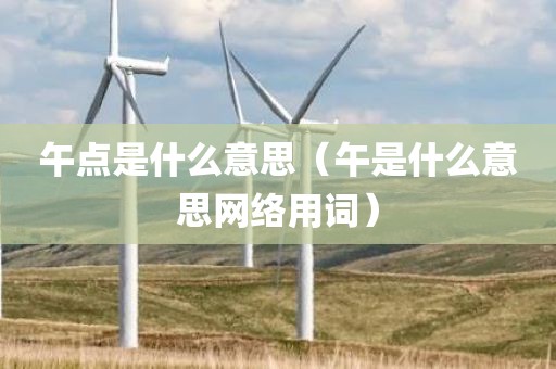 午点是什么意思（午是什么意思网络用词）