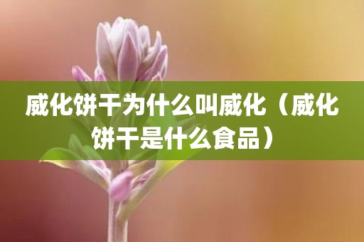 威化饼干为什么叫威化（威化饼干是什么食品）