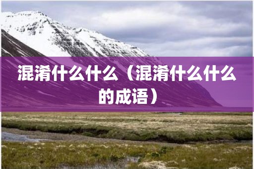混淆什么什么（混淆什么什么的成语）