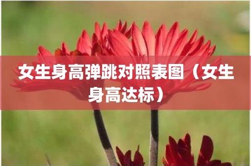 女生身高弹跳对照表图（女生身高达标）