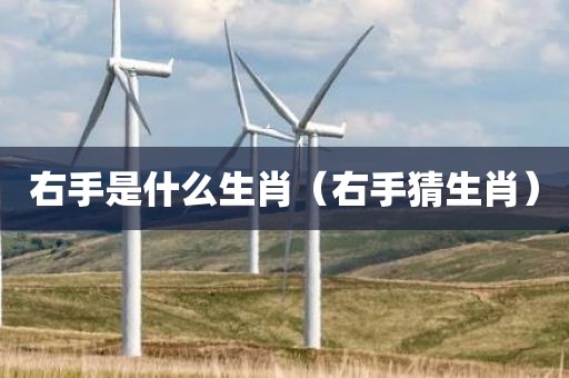 右手是什么生肖（右手猜生肖）