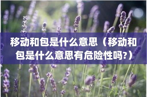 移动和包是什么意思（移动和包是什么意思有危险性吗?）