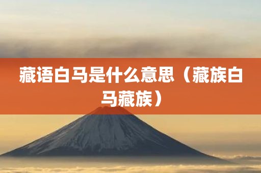藏语白马是什么意思（藏族白马藏族）