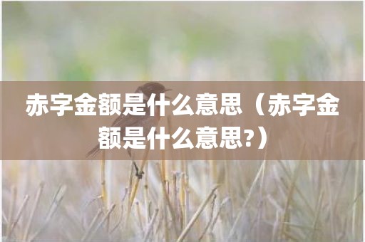 赤字金额是什么意思（赤字金额是什么意思?）
