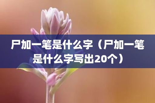 尸加一笔是什么字（尸加一笔是什么字写出20个）