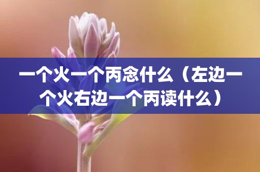 一个火一个丙念什么（左边一个火右边一个丙读什么）