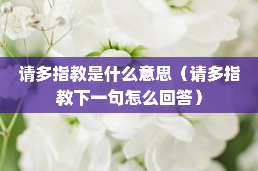 请多指教是什么意思（请多指教下一句怎么回答）