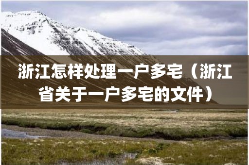 浙江怎样处理一户多宅（浙江省关于一户多宅的文件）