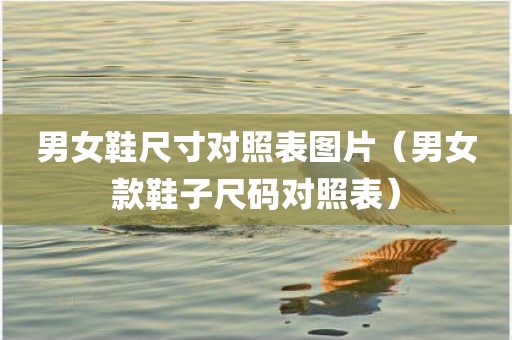 男女鞋尺寸对照表图片（男女款鞋子尺码对照表）