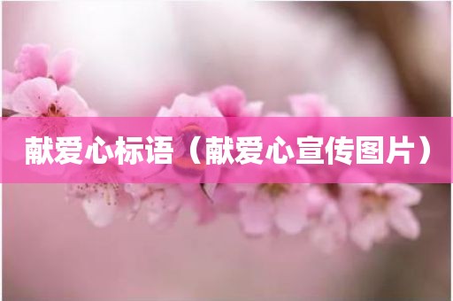 献爱心标语（献爱心宣传图片）