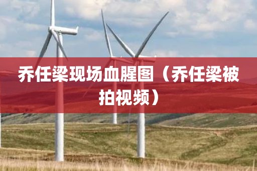 乔任梁现场血腥图(乔任梁被拍视频)