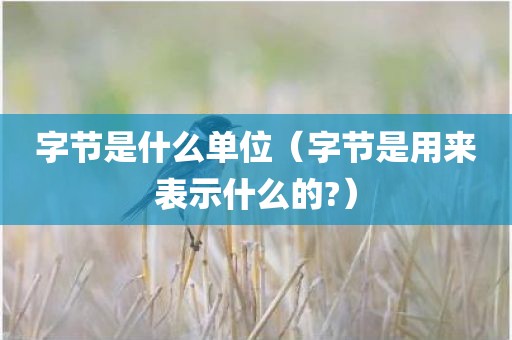 字节是什么单位（字节是用来表示什么的?）