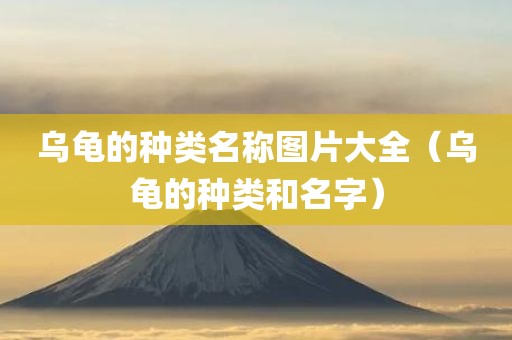 乌龟的种类名称图片大全（乌龟的种类和名字）