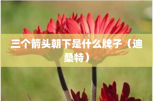 三个箭头朝下是什么牌子（迪桑特）