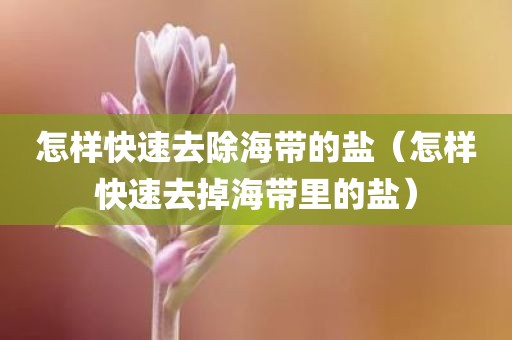 怎样快速去除海带的盐（怎样快速去掉海带里的盐）