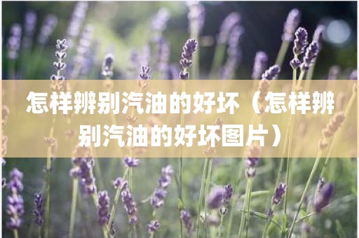 怎样辨别汽油的好坏（怎样辨别汽油的好坏图片）