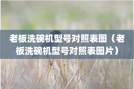 老板洗碗机型号对照表图（老板洗碗机型号对照表图片）