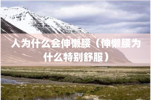 人为什么会伸懒腰（伸懒腰为什么特别舒服）