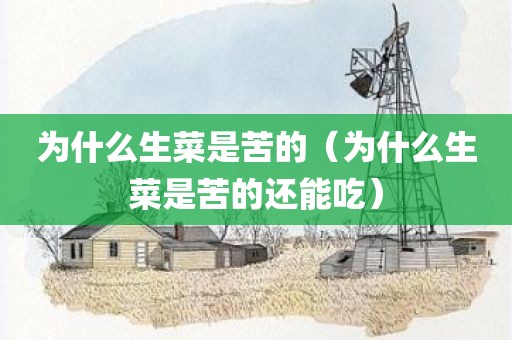 为什么生菜是苦的（为什么生菜是苦的还能吃）