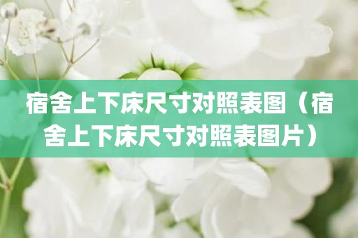 宿舍上下床尺寸对照表图（宿舍上下床尺寸对照表图片）