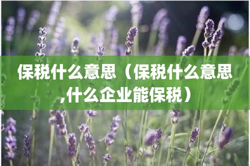 保税什么意思（保税什么意思,什么企业能保税）