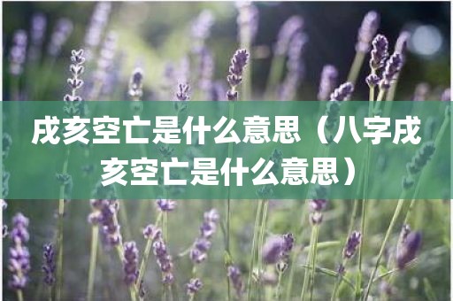 戌亥空亡是什么意思（八字戌亥空亡是什么意思）