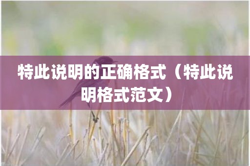 特此说明的正确格式（特此说明格式范文）