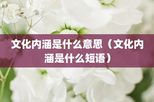 文化内涵是什么意思（文化内涵是什么短语）