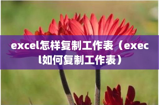 excel怎样复制工作表（execl如何复制工作表）