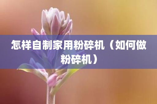 怎样自制家用粉碎机（如何做粉碎机）