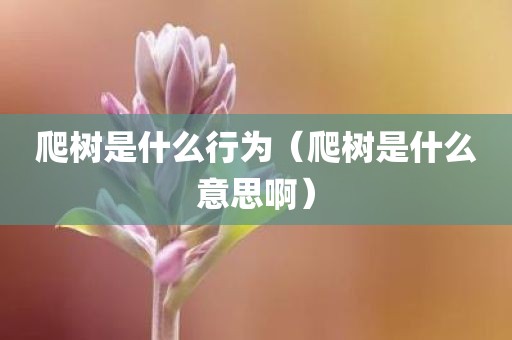 爬树是什么行为（爬树是什么意思啊）