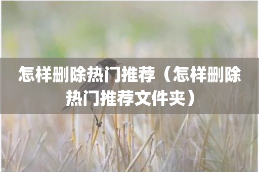 怎样删除热门推荐（怎样删除热门推荐文件夹）