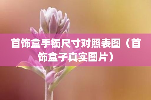 首饰盒手镯尺寸对照表图（首饰盒子真实图片）